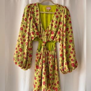 Show Me Your Mumu Christina Mini Dress